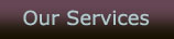 Our Services